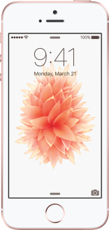 Apple iPhone SE 64 GB (MLM72TU/A, MLXP2TU/A, MLM62TU/A, MLXQ2TU/A) Cep Telefonu kullananlar yorumlar
